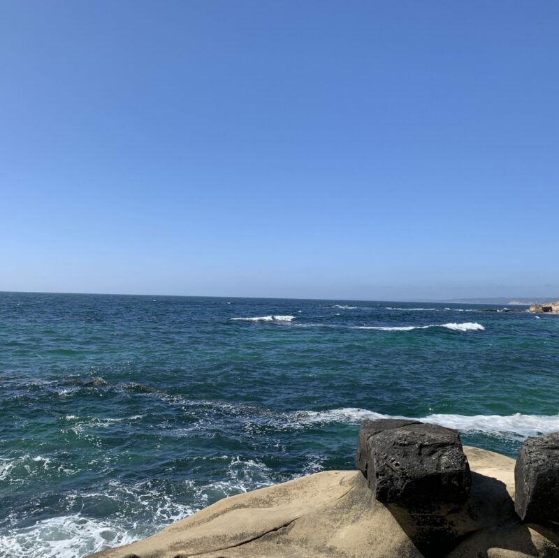 The San Diego Coastline in La Jolla