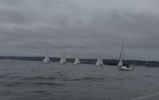 Sailboats on San Diego Bay.